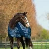 Horseware Liner 100grs