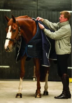 Horseware Liner 100grs -Equestrian Supplies Online Shop 401279012000W 3 401279012