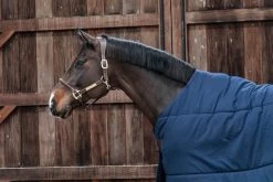 Kentucky Horsewear Kentucky Under Rug Classic 300gr 6 Kentucky Horsewear Kentucky Under Rug Classic 300gr -Equestrian Supplies Online Shop 401279021000W 3 401279021