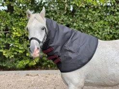 DKR Neck Turnout MINI 100gr -Equestrian Supplies Online Shop 401390005000W 3 401390005