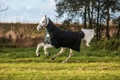 DKR Sports Eco Neck Turnout 150gr -Equestrian Supplies Online Shop 401390006000W 3 401390006