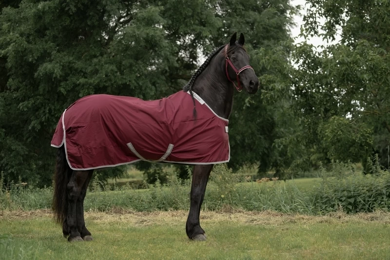 Bucas Atlantic Exclusive Light 2 Bucas Atlantic Exclusive Light - Image 2