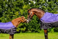 DKR Sports Luxury Rain Rug With Fleecelining -Equestrian Supplies Online Shop 402040012000W 3 402040012