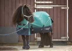 Harry's Horse Turnout Rug 0gr STOUT! Teal
