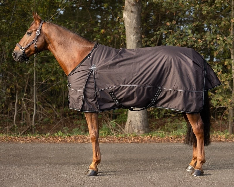 QHP Turnout Rug Collection Fleece Lining 1 QHP Turnout Rug Collection Fleece Lining