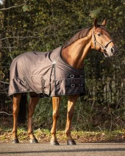 QHP Turnout Rug Collection Fleece Lining 6 QHP Turnout Rug Collection Fleece Lining -Equestrian Supplies Online Shop 402060019000W 3 402060019