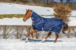 Bucas Freedom Turnout Light 0grs Fullneck -Equestrian Supplies Online Shop 402079030000W 3 402079030