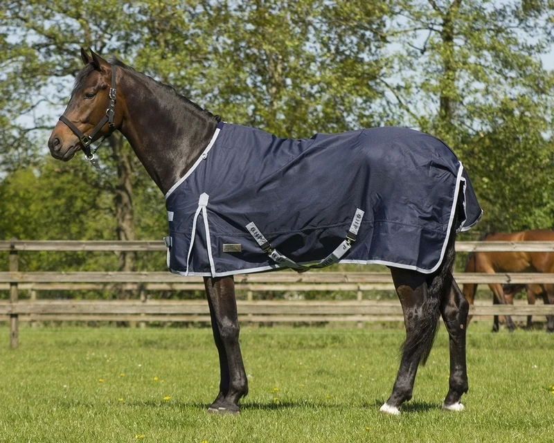 QHP Rain Rug Turnout 600 Padded With Fleece 1 QHP Rain Rug Turnout 600 Padded With Fleece