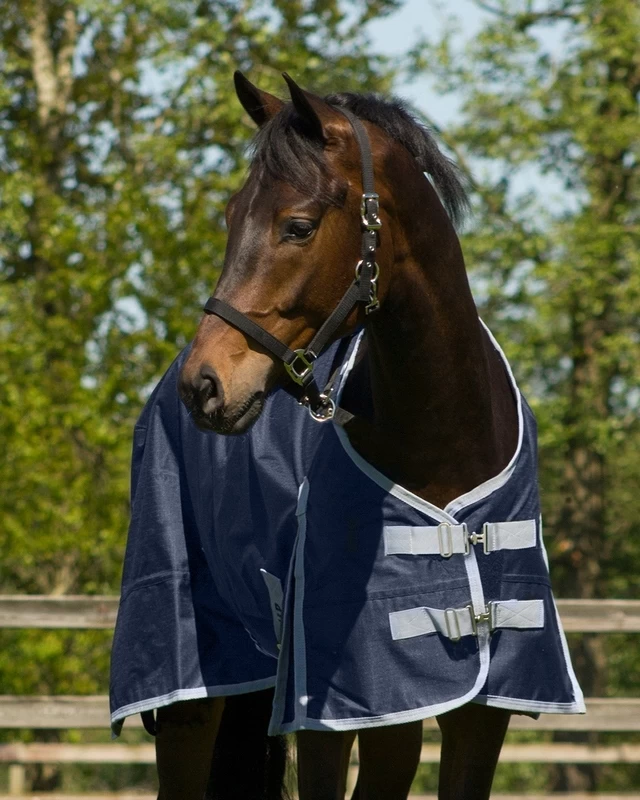 QHP Rain Rug Turnout 600 Padded With Fleece 2 QHP Rain Rug Turnout 600 Padded With Fleece - Image 2