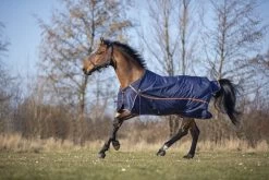 DKR Sports Rainrug Luxury 0grs 6 DKR Sports Rainrug Luxury 0grs -Equestrian Supplies Online Shop 402079051000W 3 402079051