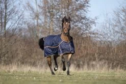 DKR Sports Rainrug Luxury 0grs 7 DKR Sports Rainrug Luxury 0grs -Equestrian Supplies Online Shop 402079051000W 4 402079051