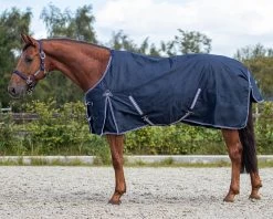QHP Rain Rug Turnout Rug Luxury Fleece