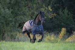 DKR Sports Rain Rug Big Neck 0 Grams -Equestrian Supplies Online Shop 402079070000W 4 402079070