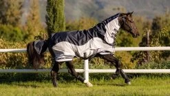 LeMieux Arika Shower-Tek Fly Rug -Equestrian Supplies Online Shop 402079072000W 4 402079072