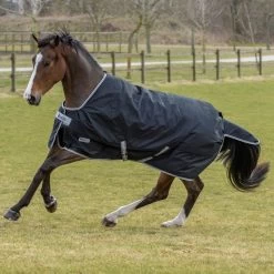 Bucas Anniversary Turnout Light Stay-Dry Rain Rug