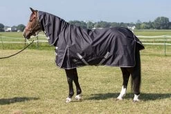 Harry's Horse Rainsheet Combo Thor With Neck