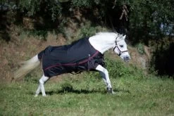 DKR Sports Mini Rainrug Luxury 0grs -Equestrian Supplies Online Shop 402090049000W 3 402090049