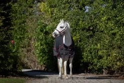 DKR Sports Mini Rainrug Luxury 0grs -Equestrian Supplies Online Shop 402090049000W 4 402090049