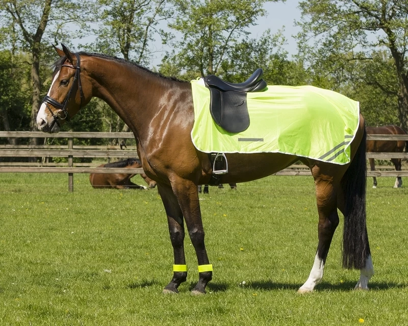 QHP Exercise Sheet 1 QHP Exercise Sheet