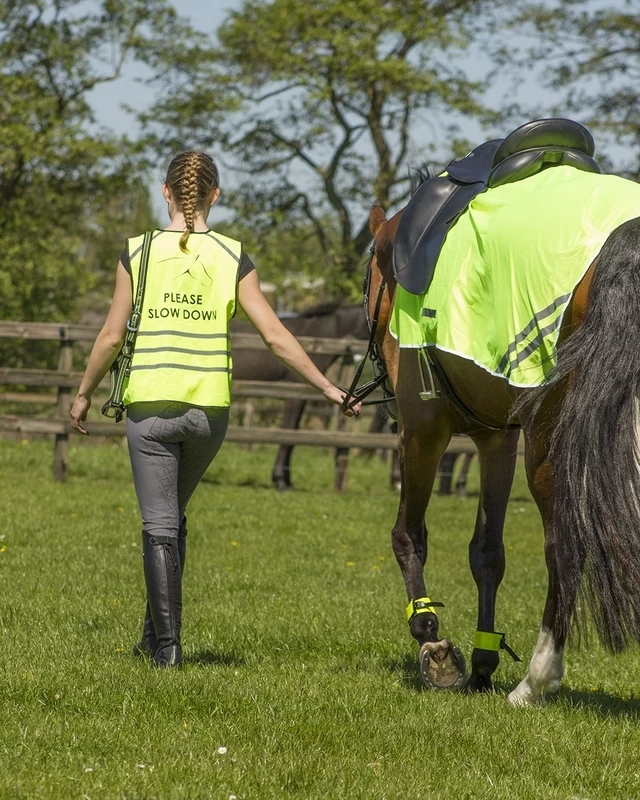 QHP Exercise Sheet 2 QHP Exercise Sheet - Image 2