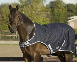 QHP Walker Rug Waterproof 200gr -Equestrian Supplies Online Shop 404079033000W 3 404079033