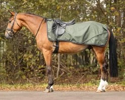 QHP Exercise Sheet Turnout Collection Fleece