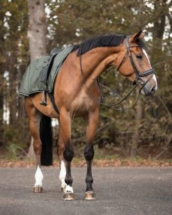 QHP Exercise Sheet Turnout Collection Fleece -Equestrian Supplies Online Shop 404080016000W 4 404080016