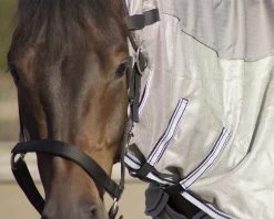 QHP Anti-fly Rug Combo With Neck And Waterproof Back -Equestrian Supplies Online Shop 405080069000W 3 405080069