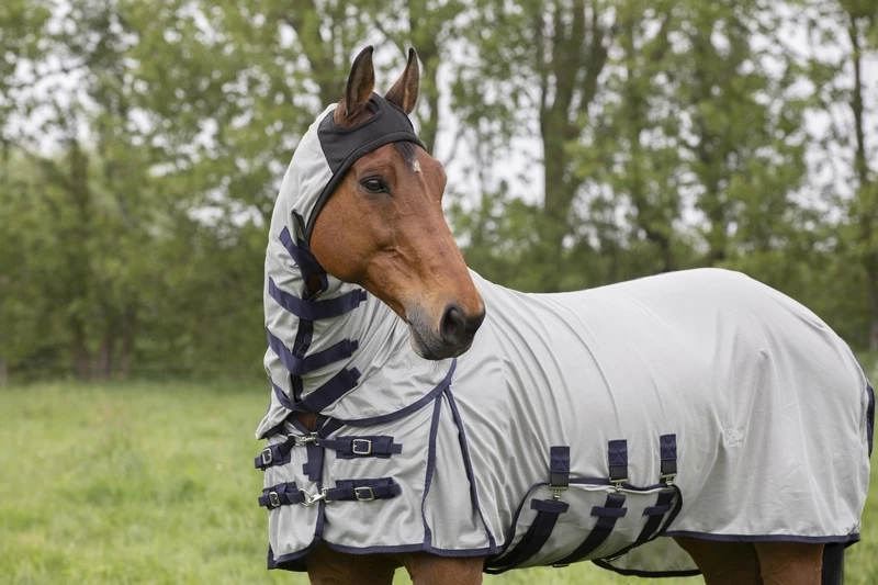 DKR Sports Fly Rug Hoody 3 DKR Sports Fly Rug Hoody - Image 3