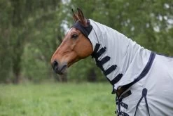 DKR Sports Eczema Rug Hoody -Equestrian Supplies Online Shop 405080085000W 3 405080085