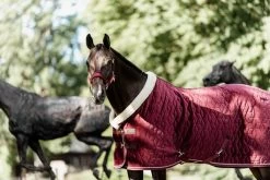 Kentucky Horsewear Kentucky Showrug Velvet 160g -Equestrian Supplies Online Shop 406034025000W 2 406034025