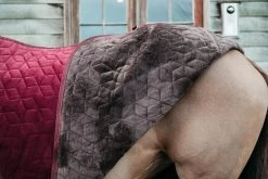 Kentucky Horsewear Kentucky Showrug Velvet 160g -Equestrian Supplies Online Shop 406034025000W 3 406034025