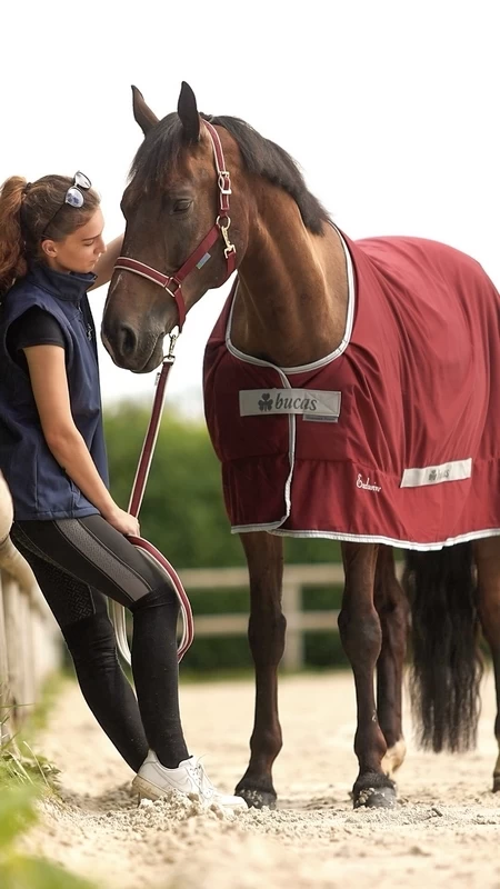 Bucas Shamrock Power Exclusive 2 Bucas Shamrock Power Exclusive - Image 2