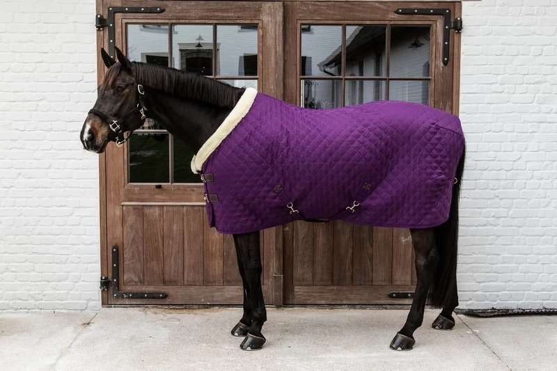 Kentucky Horsewear Kentucky Showrug 1 Kentucky Horsewear Kentucky Showrug