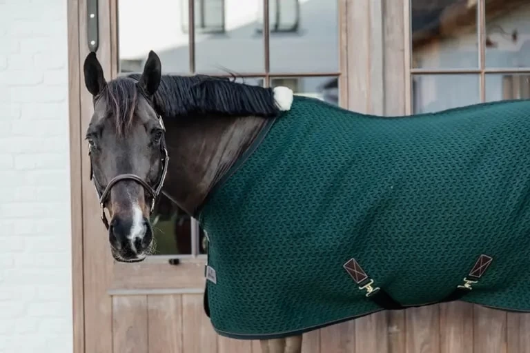 Kentucky Horsewear Kentucky 4D Spacer Cooler Sheet 2 Kentucky Horsewear Kentucky 4D Spacer Cooler Sheet - Image 2