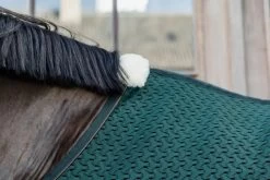 Kentucky Horsewear Kentucky 4D Spacer Cooler Sheet 6 Kentucky Horsewear Kentucky 4D Spacer Cooler Sheet -Equestrian Supplies Online Shop 406060035000W 3 406060035