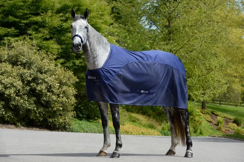 Bucas Competition Cooler 1 Bucas Competition Cooler