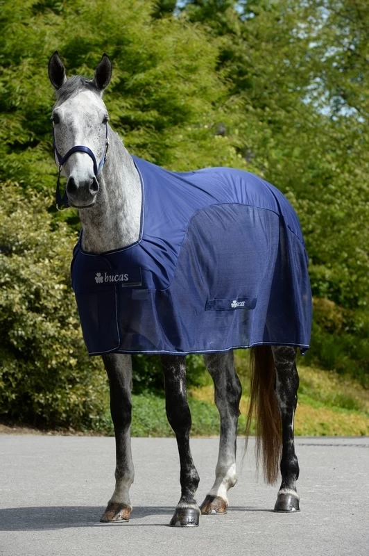 Bucas Competition Cooler 2 Bucas Competition Cooler - Image 2