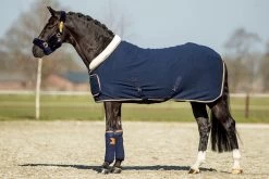 HB Showtime Blue Moon Show Rug