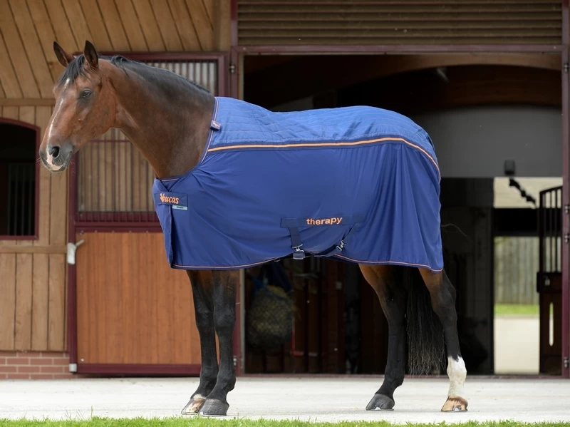 Bucas Recuptex Therapy Rug Big Neck 1 Bucas Recuptex Therapy Rug Big Neck