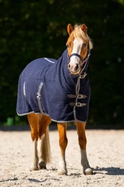 DKR Wool Rug With Neck MINI Deluxe - Special For Little Ponys -Equestrian Supplies Online Shop 406079149000W 3 406079149