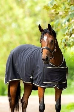 HB Polar Showrug Black Night