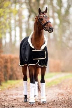 HB Polar 400 Dutch Crown Showrug -Equestrian Supplies Online Shop 406090093000W 3 406090093