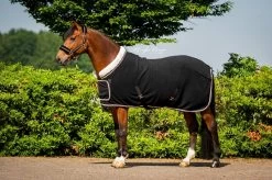 HB Polar 400 Dutch Crown Europe Showrug Rosegold