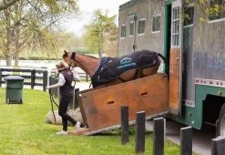 Veredus Magnetik Rug - Magnetotherapy Horserug -Equestrian Supplies Online Shop 406090100000W 3 406090100