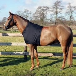 QHP Chest Protector Lycra