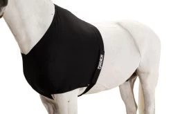 Eskadron Chest Protector Dynair Mesh