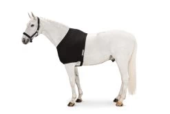 Eskadron Chest Protector Dynair Mesh -Equestrian Supplies Online Shop 408090062000W 3 408090062