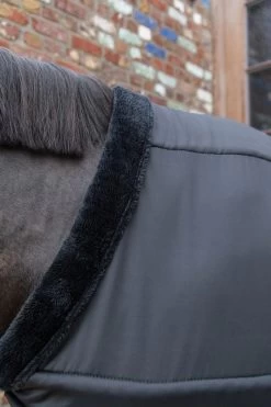 Kentucky Horsewear Kentucky Chest Protection -Equestrian Supplies Online Shop 408090063000W 3 408090063