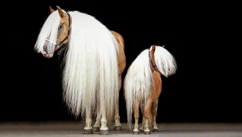 Naf Show Off Shampoo 2L 2 Naf Show Off Shampoo 2L - Image 2